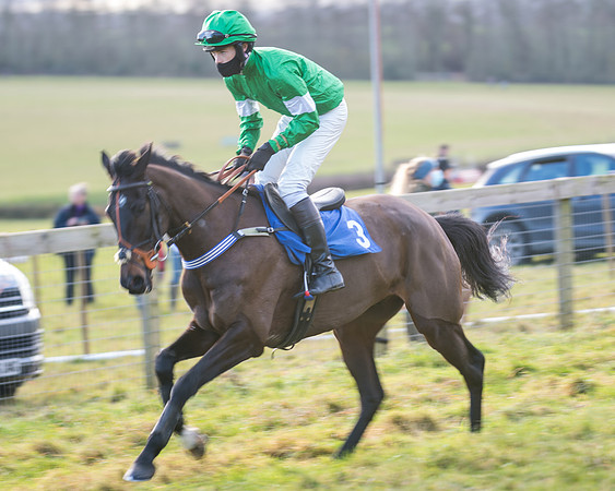 Race 2 - The Open Maiden (19 of 97)