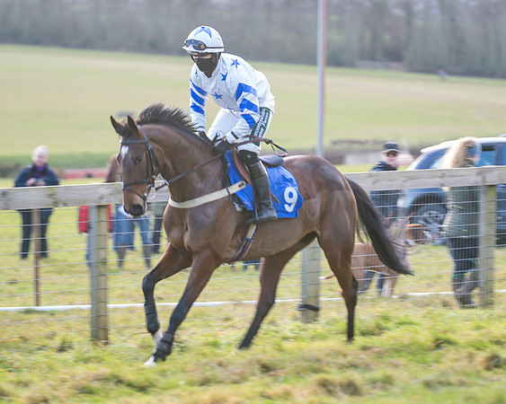 Race 2 - The Open Maiden (20 of 97)