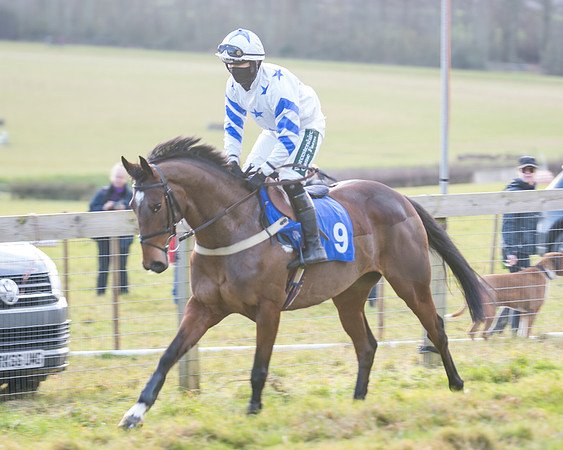Race 2 - The Open Maiden (21 of 97)