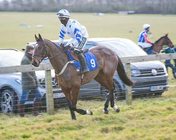 Race 2 - The Open Maiden (22 of 97)