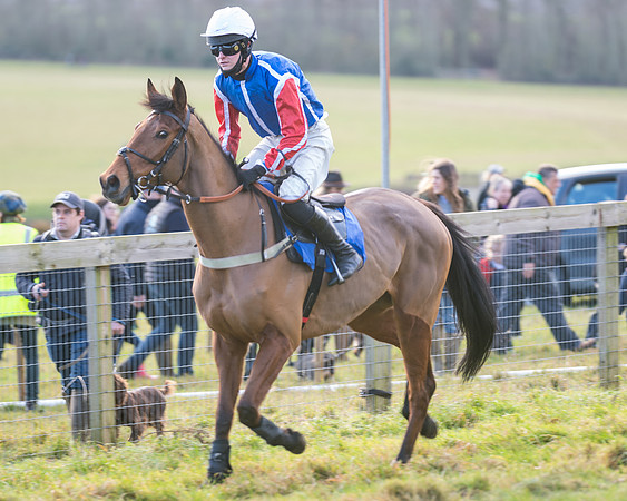 Race 2 - The Open Maiden (24 of 97)