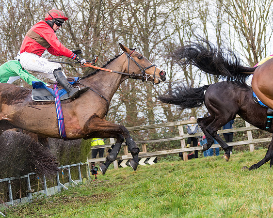 Race 2 - The Open Maiden (38 of 97)