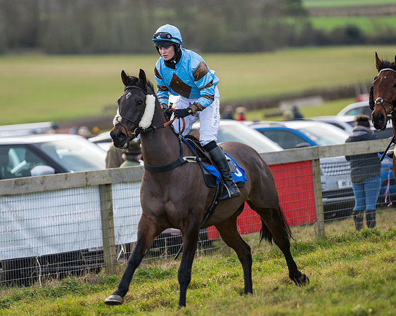 Race 4 - The Ladies Open (15 of 146)
