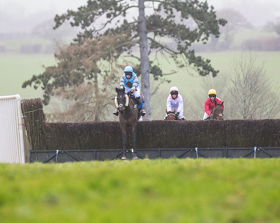 Race 4 - The Ladies Open (24 of 146)