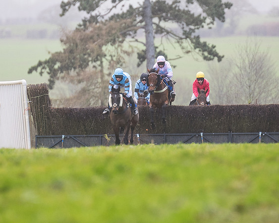 Race 4 - The Ladies Open (26 of 146)