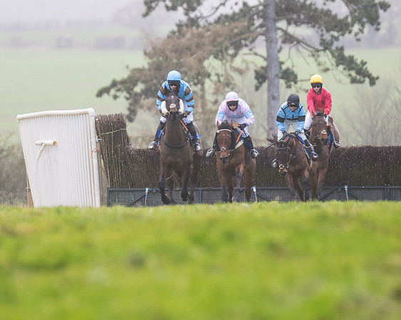 Race 4 - The Ladies Open (28 of 146)