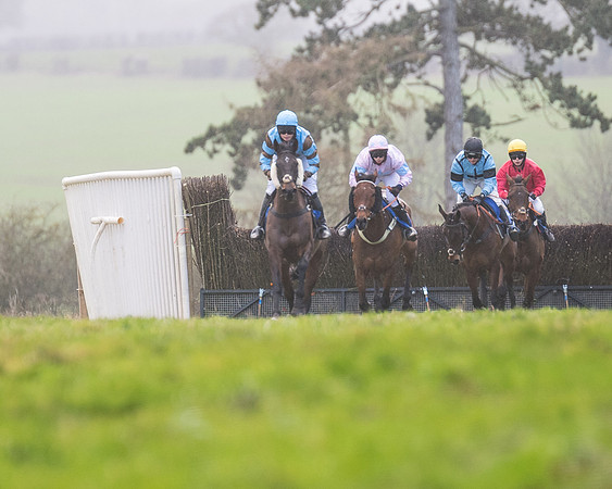 Race 4 - The Ladies Open (30 of 146)