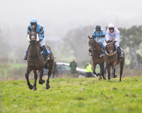 Race 4 - The Ladies Open (36 of 146)