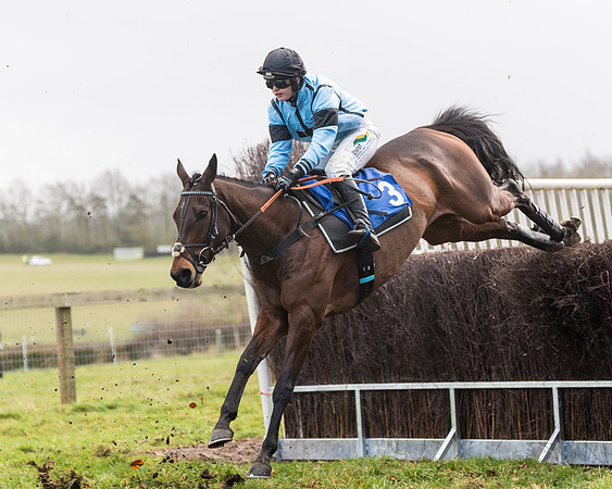 Race 4 - The Ladies Open (50 of 146)