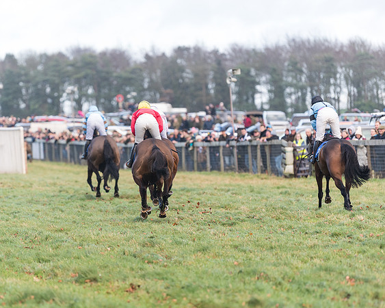 Race 4 - The Ladies Open (55 of 146)