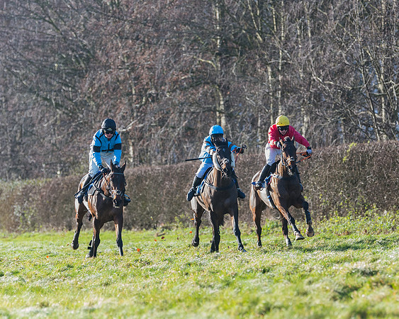 Race 4 - The Ladies Open (66 of 146)