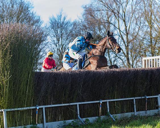 Race 4 - The Ladies Open (69 of 146)
