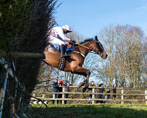 Race 4 - The Ladies Open (83 of 146)