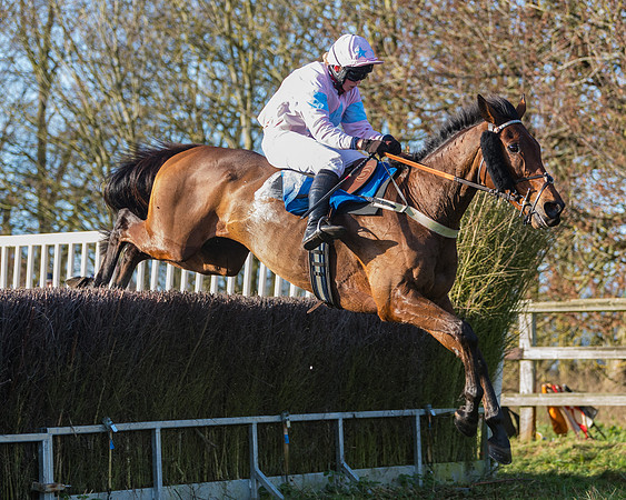 Race 4 - The Ladies Open (85 of 146)