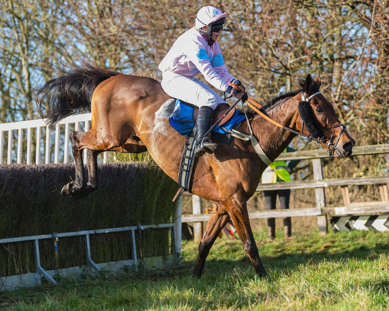 Race 4 - The Ladies Open (87 of 146)