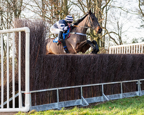 Race 7 - Maiden -conditions (49 of 115)