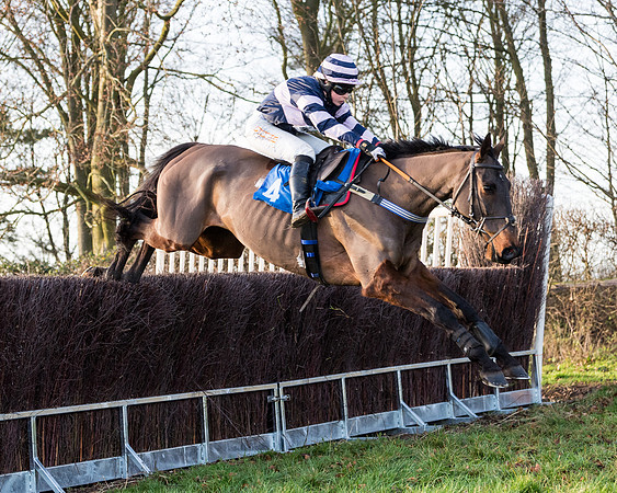Race 7 - Maiden -conditions (52 of 115)