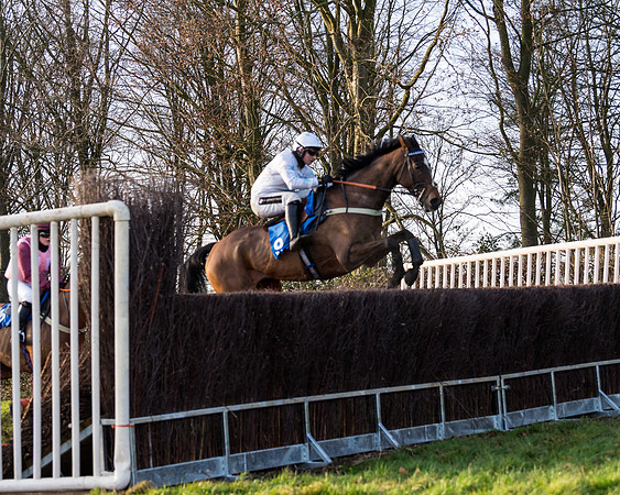 Race 7 - Maiden -conditions (53 of 115)