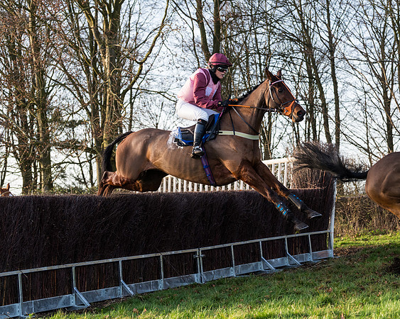 Race 7 - Maiden -conditions (59 of 115)