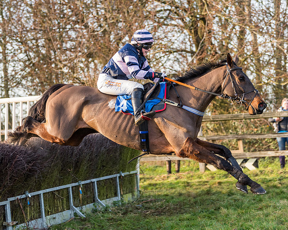Race 7 - Maiden -conditions (72 of 115)