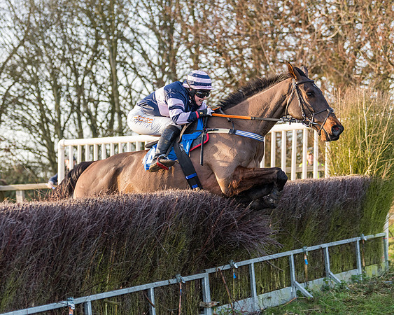 Race 7 - Maiden -conditions (70 of 115)