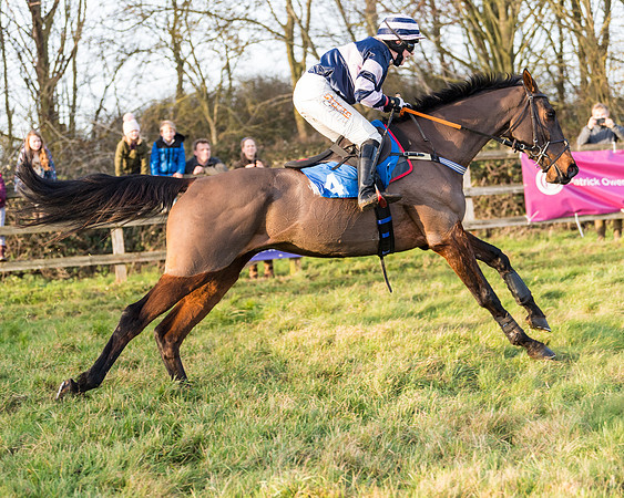 Race 7 - Maiden -conditions (74 of 115)