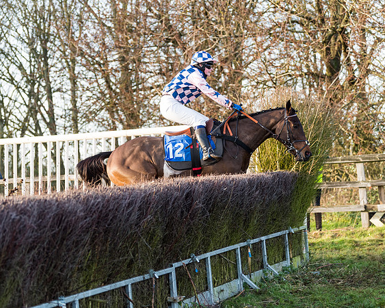 Race 7 - Maiden -conditions (76 of 115)