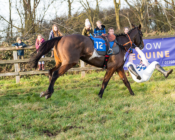 Race 7 - Maiden -conditions (82 of 115)