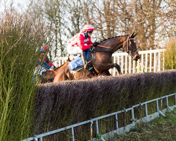 Race 7 - Maiden -conditions (88 of 115)