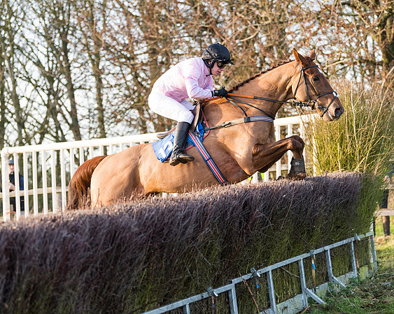 Race 7 - Maiden -conditions (95 of 115)