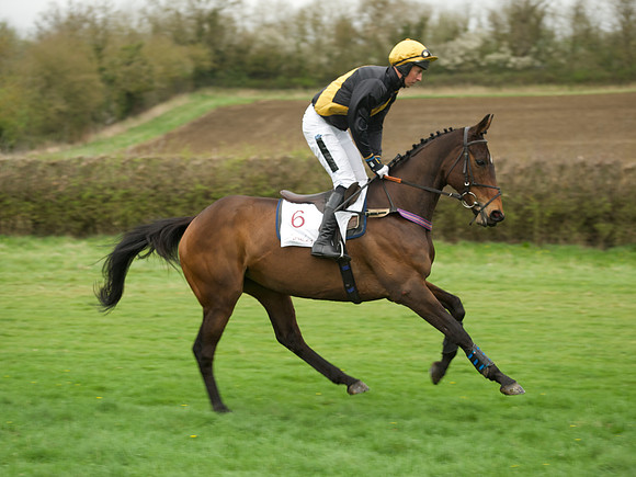 Race 1 Members - 22