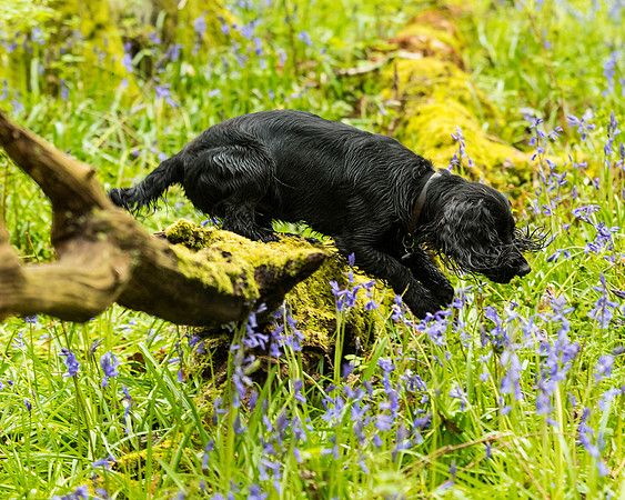 Anne BnB  (118 of 227)