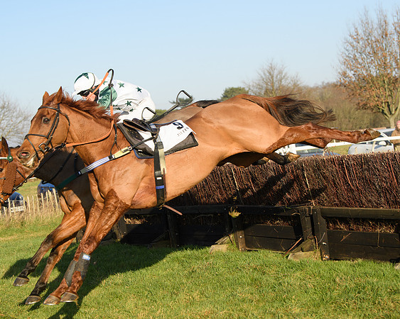 Race 2 - PPORA Novice Riders  (190 of 205)