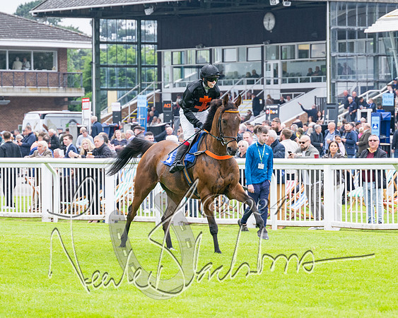 Race 2 - Ladies Open Final (17 of 94)