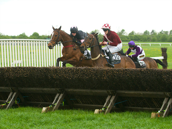 Race 5 - Restriced 31