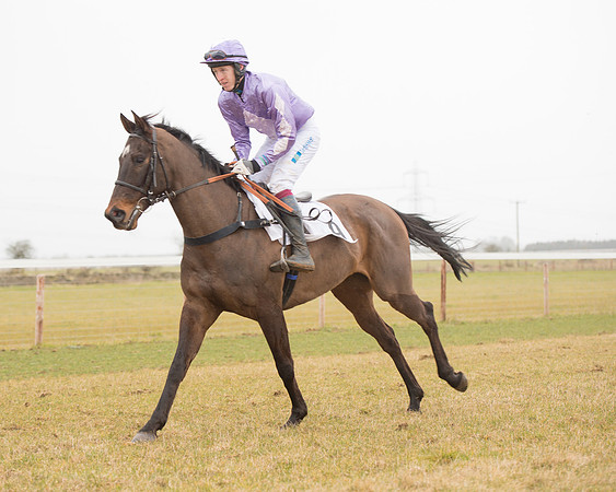Race 6 - Open Maiden (44 of 120).jpg
