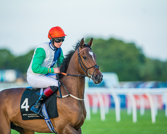 Race 7 - ITM Bumper (31 of 72)