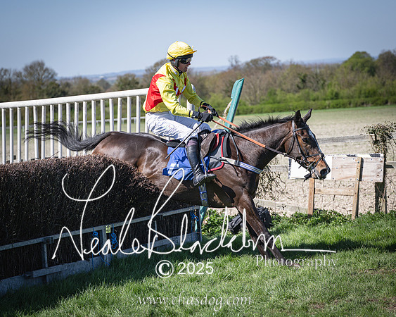 Race 2 - The Maiden (100 of 118)
