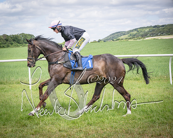 Race 1 - The owner-trainer Conditions race (32 of 118)
