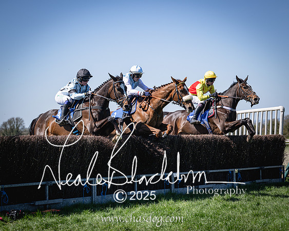 Race 2 - The Maiden (69 of 118)