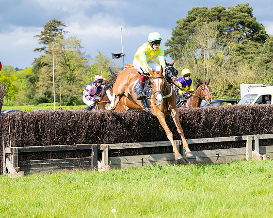 Race 4 -  2M4F Conditions  (43 of 102)
