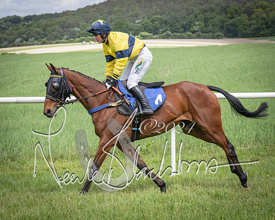 Race 1 - The owner-trainer Conditions race (17 of 118)
