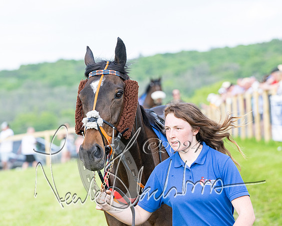 Race 6 - Intermediate (17 of 212)