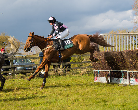 Race 5 - Restricted  (31 of 118)