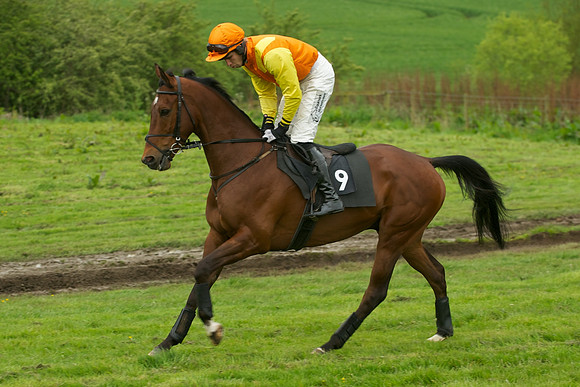 Race 7 - 2m4f Maiden 23