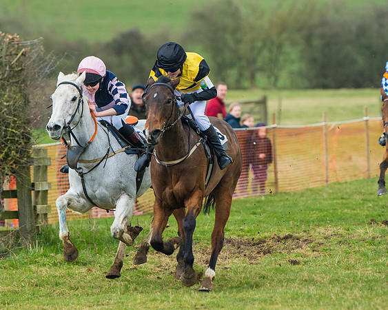 Pony Race 3 (29 of 67)