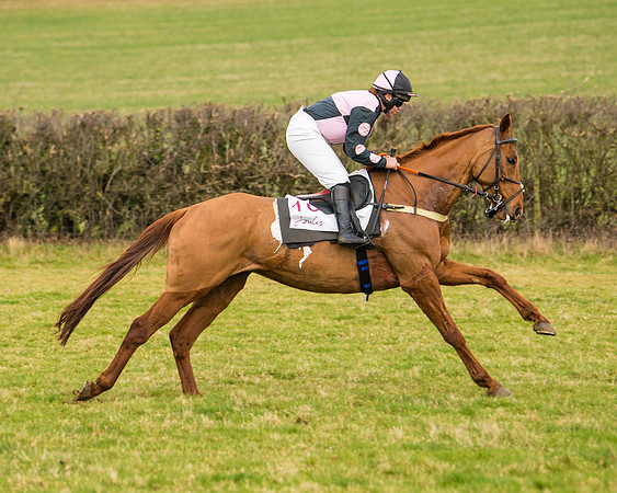 Race 3 - Restricted  (26 of 100)