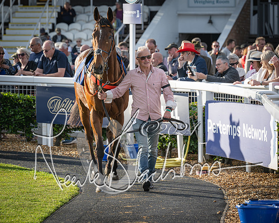 Race 4 - Peretemps Stratford Foxhunters (16 of 168)