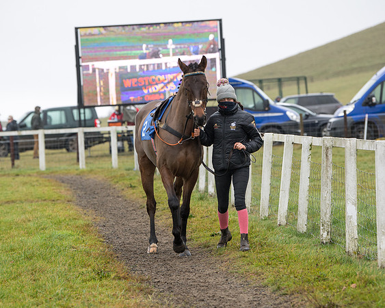 Race 3 - Young Horse maiden (1 of 93)