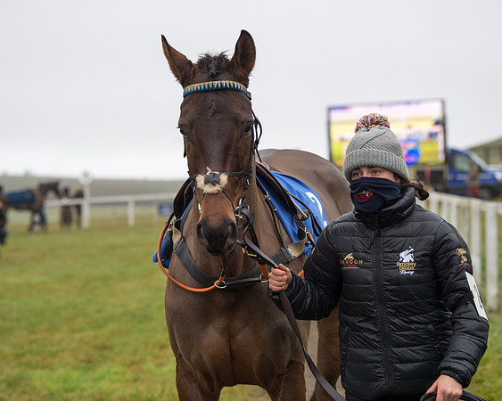 Race 3 - Young Horse maiden (2 of 93)